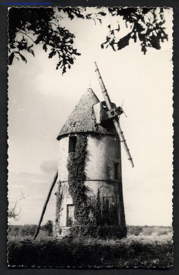 Moulin A Vent Le Champ Du Trail Villa Saint-Cyr-des-Gats ภายนอก รูปภาพ